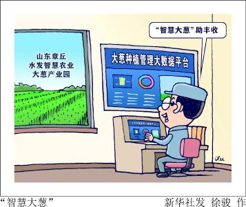 （图表·漫画）［乡村振兴］“智慧大葱”