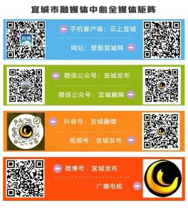 宜城组织收看襄阳市“宣传部长讲党课”暨年度工作总结视频