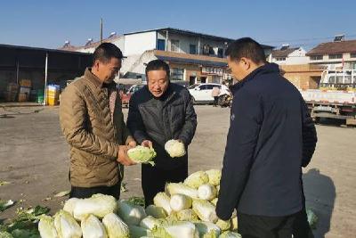 蔬菜大镇王集：访致富能人 促产业发展