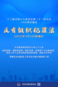 权威快报|反有组织犯罪法通过！