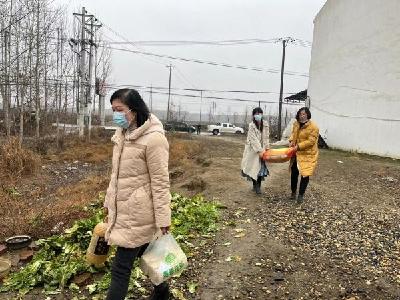 【我为群众办实事】宜城市妇联走访慰问困难户