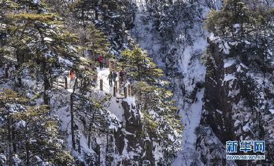 银装素裹！黄山春雪分外娇