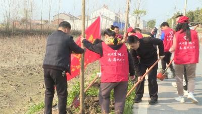 宜城市乡村振兴局：植树添绿助力乡村振兴