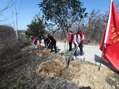 宜城市住建局义务植树 助力乡村振兴