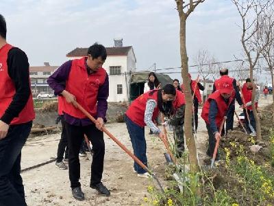 郑集镇：义务植树为乡村添绿