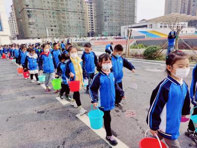 宜城宋玉小学：护一棵小树圆一个梦想