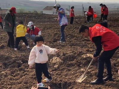 共青团宜城市委：种植林果树 培育产业“花” 