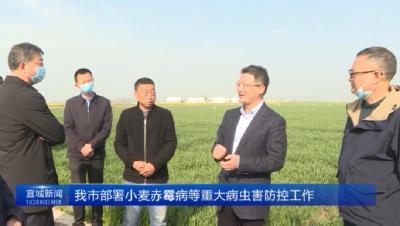 【云视听】我市部署小麦赤霉病等重大病虫害防控工作