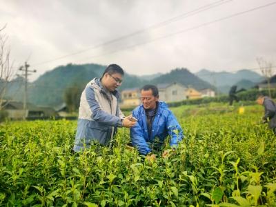 早预警 早行动——气象水文气候信息如何助力防灾减灾