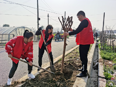 宜城市委党校：植树造林添绿意 乡村振兴显助力 