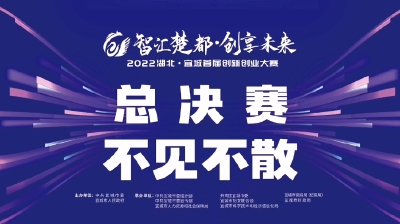 精彩先“剧透”！湖北省宜城市首届双创大赛总决赛巅峰对决来了