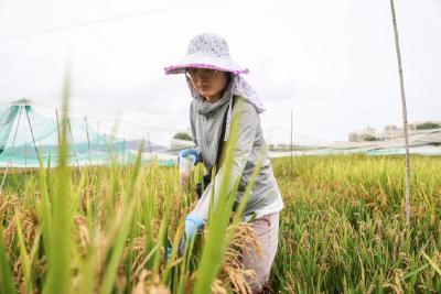 创新为高质量发展添动力——第二十四届中国科协年会看点聚焦