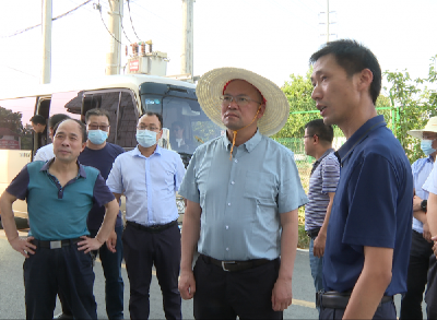 襄阳市领导来宜调研督导环保督察整改落实情况