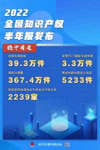 权威快报 | 全国知识产权半年报：稳中有进