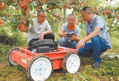 四川省成都市探索建立农业经理人选拔、培养、管理、服务机制—— 农业经理人奔忙在希望的田野（人民眼·乡村振兴新气象④）