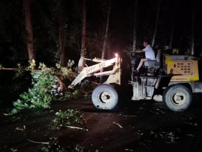 雷河镇：凌晨紧急处置倒伏路树 保障通行安全