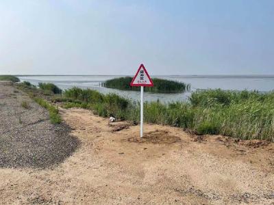 黄河三角洲国家级自然保护区：还鸟儿一片自由飞翔的“乐园” 