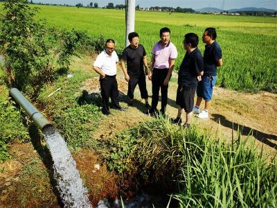 宜城：挥洒汗水换清流 一渠碧水润心田 