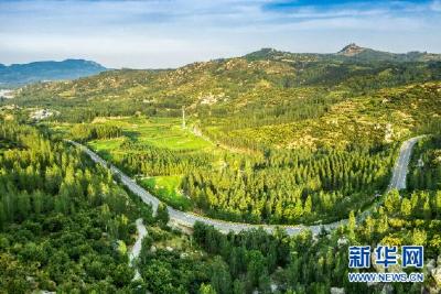 乡村振兴在行动｜沂蒙老区“红色旅游线路”打通小康幸福路