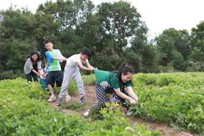 刘猴镇钱湾村：文旅融合 激发乡村振兴新活力