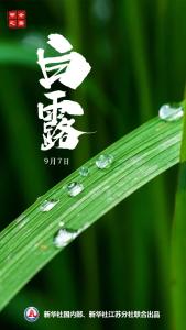 节令之美·白露|白露至 秋意浓