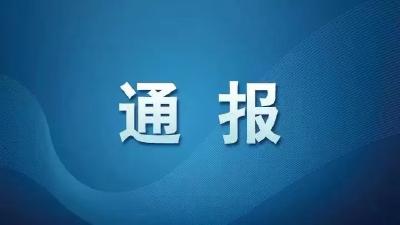 襄阳市新型冠状病毒肺炎疫情通报（1012）