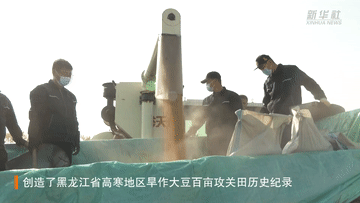 新华全媒+｜亩产622.4斤！黑龙江高寒地区旱作大豆百亩攻关田创新纪录