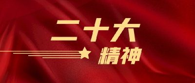 刀刃向内自我革命 直面问题迎难而上 ——宜城召开党建工作领导小组（扩大）会深入学习贯彻党的二十大精神