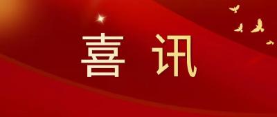 宜城市12件微电影作品在全国赛事中喜获大奖