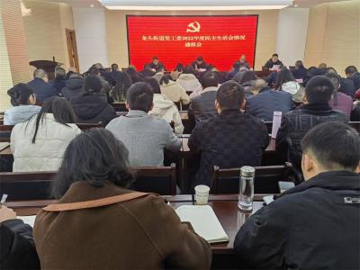 龙头街道召开2022年度基层党组织书记抓党建工作述职评议会