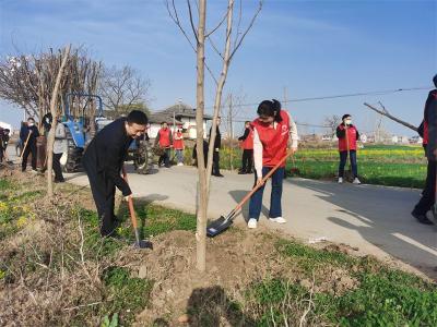 郑集镇：种下风景树 走上幸福路