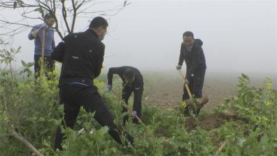 宜城市纪委监委干部到雷河镇和平村参加义务植树活动