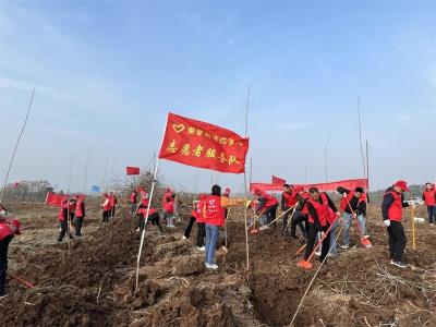 南营街道组织开展义务植树活动