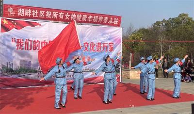 龙头街道湖畔社区举行文化进万家”庆“三八”文艺展演