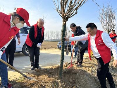 龙头街道：春风催新绿 植树正当时 