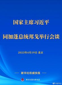 习近平同加蓬总统邦戈举行会谈