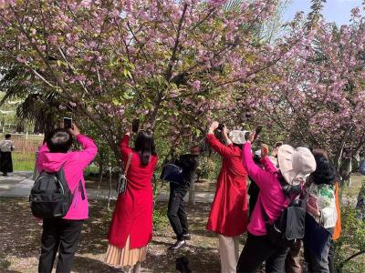 宜城市老年大学开展户外采风教学实践活动 