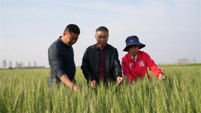 宜城市农业农村局：积极防御强降雨天气 全力保障农业安全生产