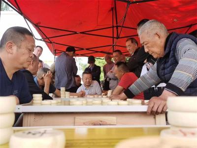 雷河镇：乡村象棋比赛让村民乐在“棋”中