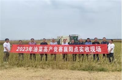 亩产284.4公斤！宜城油菜绿色高质高效示范区喜获高产