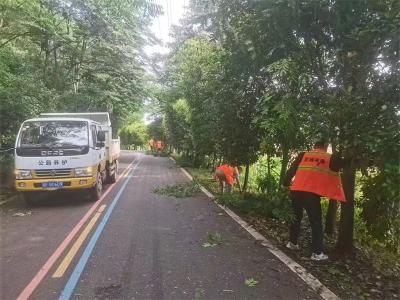 宜城市交通运输局：积极应对强降雨天气 筑牢道路安全防线