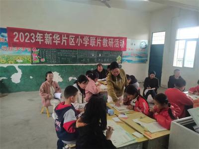 小河镇新华小学：联片教研促交流 相互学习共成长