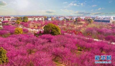 乡村振兴在行动丨湖北荆州：昔日“关公练兵地” 今成中国美乡村