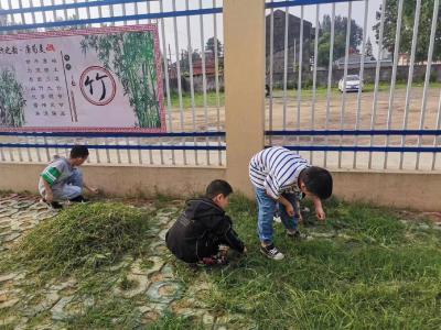 种花种梦想 劳动促成长 王集镇方阁小学劳动教育活动