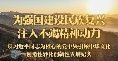 为强国建设民族复兴注入不竭精神动力——以习近平同志为核心的党中央引领中华文化创造性转化创新性发展纪实