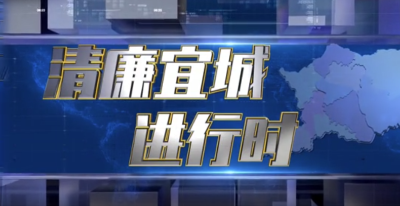 【清廉建设进行时】宜城市纪委监委：直插一线监督 护航高标准农田建设