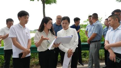 肖平调研和美乡村示范片区建设规划工作