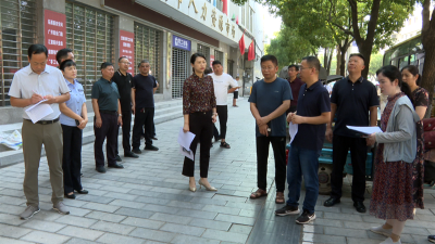 【创文进行时】宜城对省级文明城市创建反馈问题整改情况开展