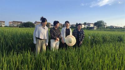 宜城：巾帼代表展现人大担当 赋能乡村振兴