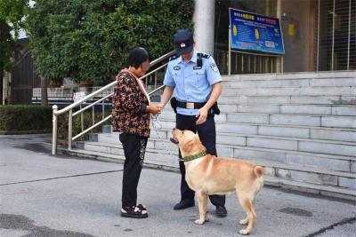 爱犬走失被民警带回 摇身变成“反诈宣传员”